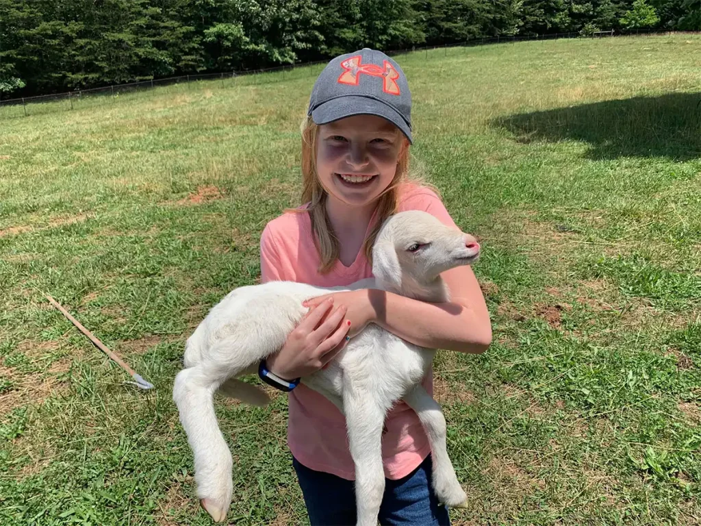 girl holding lamb
